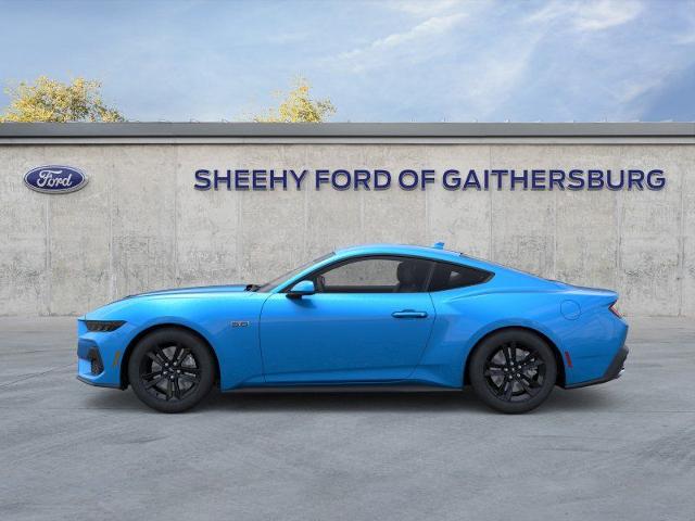 New 2026 Grabber Blue Metallic Ford GT Fastback image 4