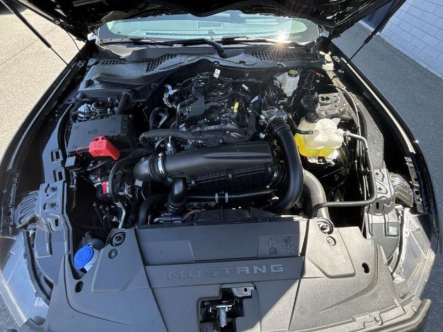 New 2026 Shadow Black Ford EcoBoost® Fastback image 43