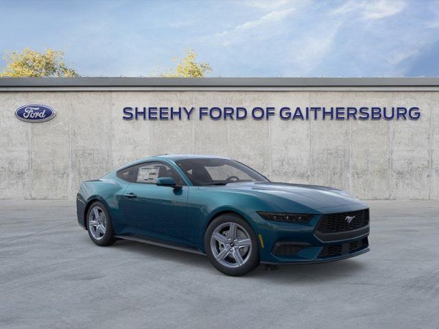 New 2026 Adriatic Blue Metallic Ford EcoBoost image 23