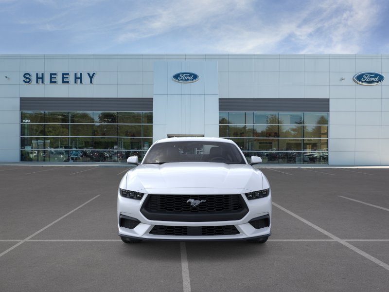 New 2026 Oxford White Ford EcoBoost image 24