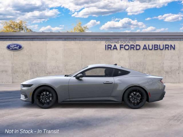 New 2026 Carbonized Gray Metallic Ford EcoBoost® Premium Fastback image 25