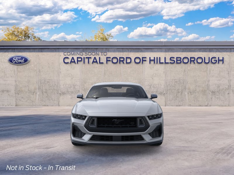 New 2026 Avalanche Gray Ford EcoBoost® Fastback image 6