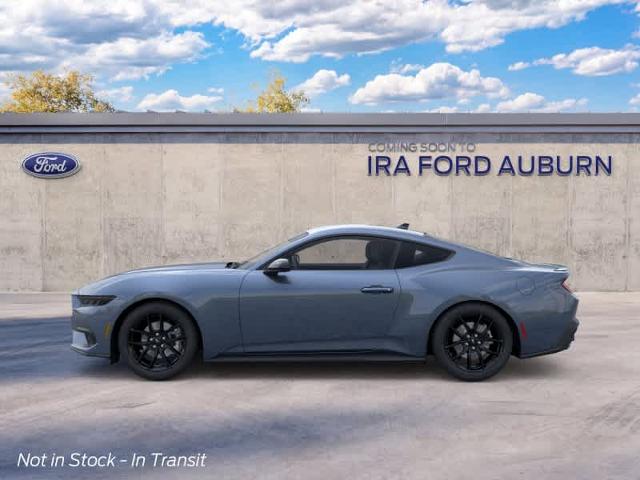 New 2026 Vapor Blue Metallic Ford EcoBoost® Premium Fastback image 25