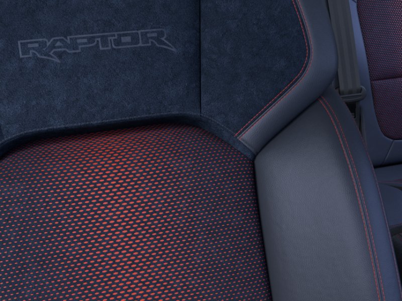 New 2026 Shadow Black Ford Raptor® image 38