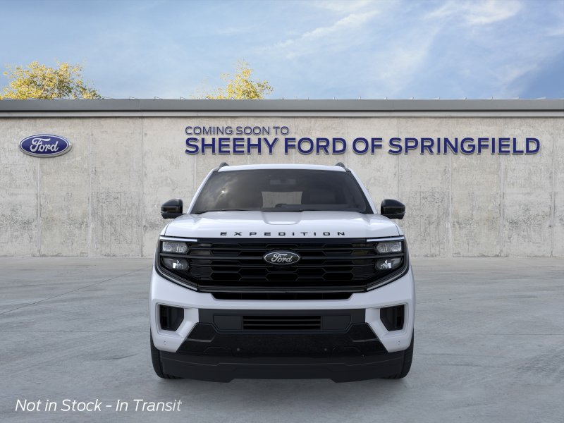 New 2026 Space Silver Metallic Ford Platinum image 25
