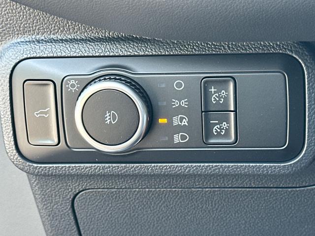 New 2026 Marsh Gray Ford Tremor® image 66