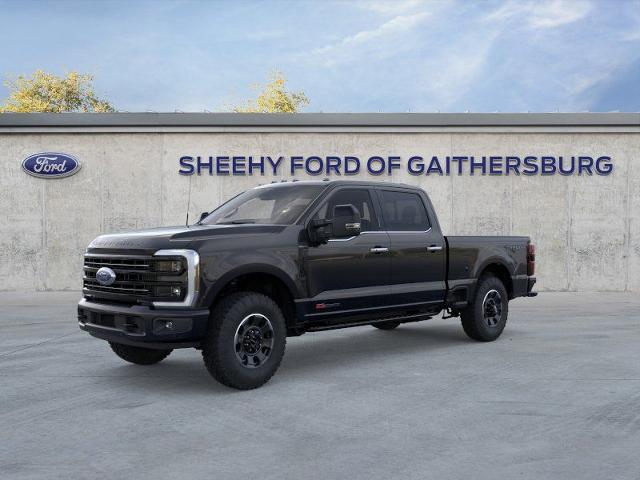 New 2026 Agate Black Metallic Ford Platinum image 24