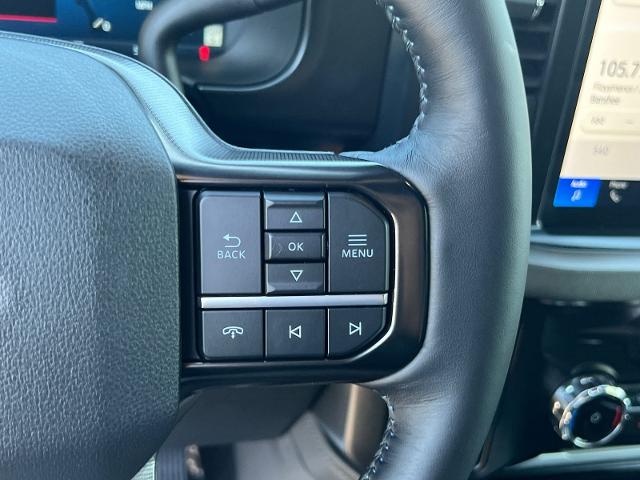 New 2026 Carbonized Gray Metallic Ford F-250® Platinum® image 59