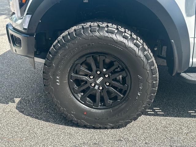 New 2026 Avalanche Ford Raptor® image 44