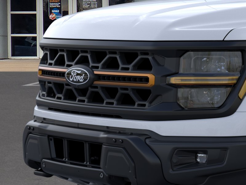2025 Ford F-150 Tremor - Photo 17