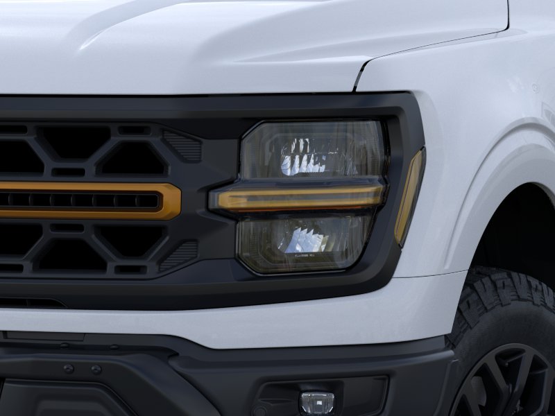 2025 Ford F-150 Tremor - Photo 18