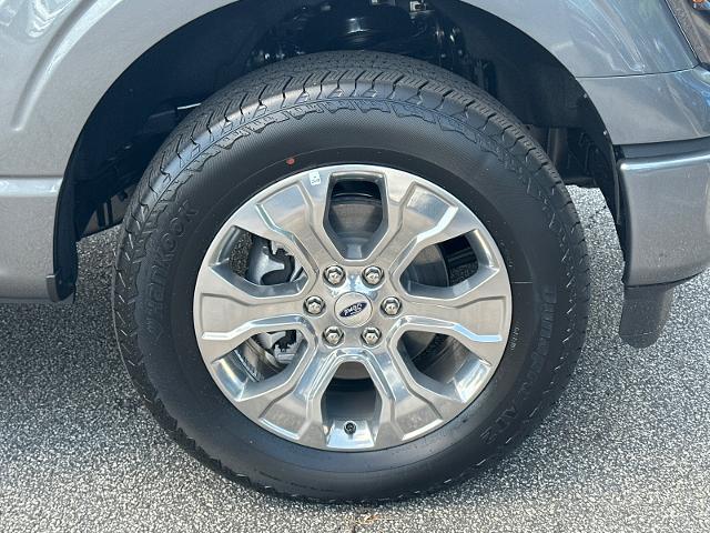 New 2026 Carbonized Gray Metallic Ford Platinum® image 47