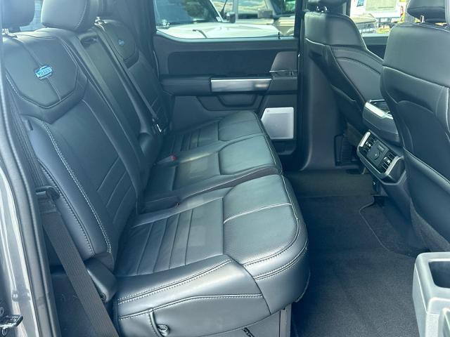 New 2026 Carbonized Gray Metallic Ford Platinum® image 50