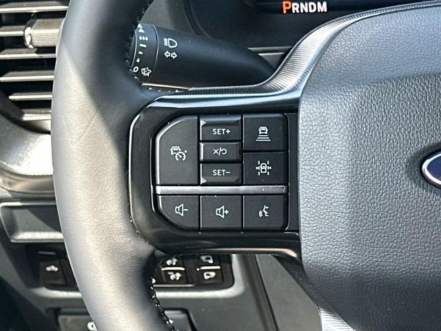 New 2026 Carbonized Gray Metallic Ford Platinum® image 59