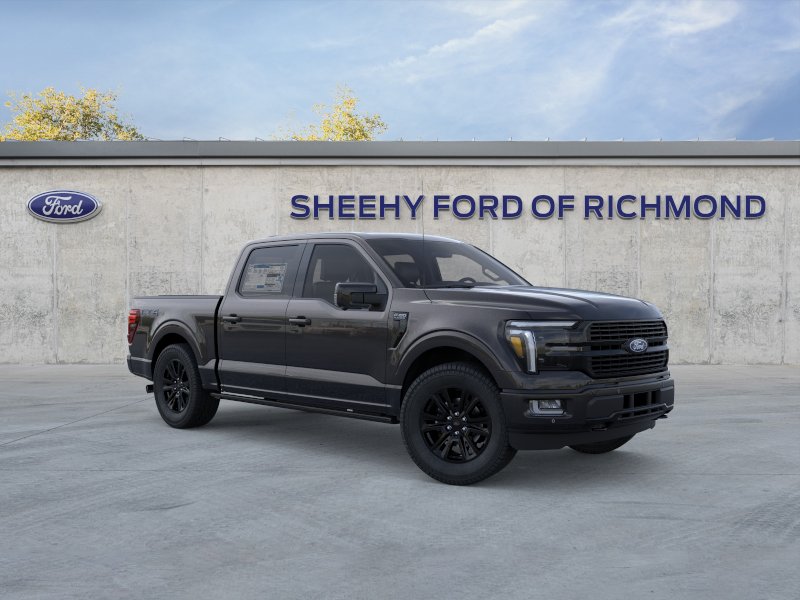 New 2026 Agate Black Metallic Ford Platinum image 23