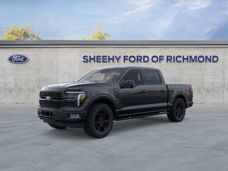 New 2026 Agate Black Metallic Ford Platinum image 24