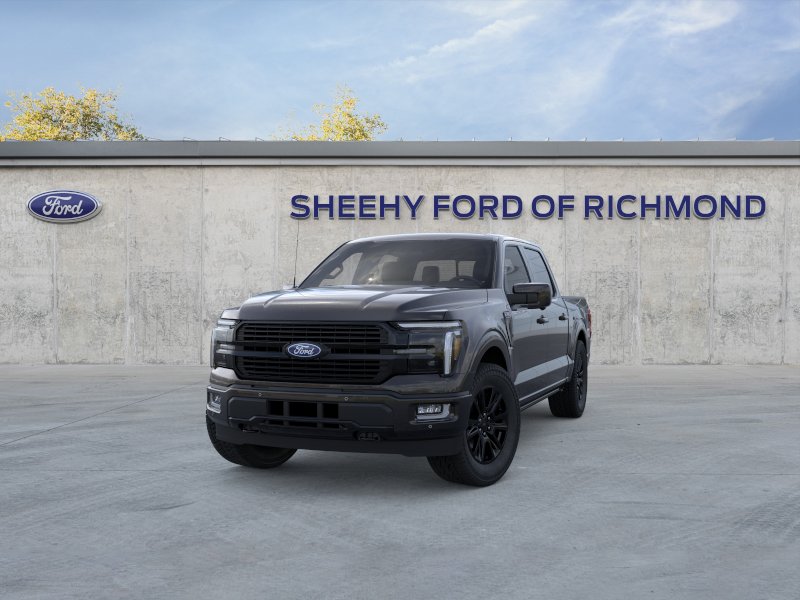New 2026 Agate Black Metallic Ford Platinum image 25