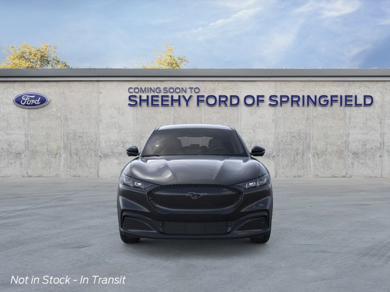 New 2026 Shadow Black Ford Select image 6
