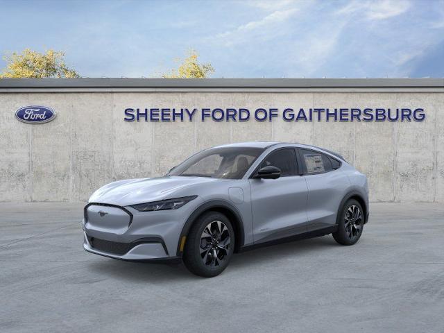 New 2026 Glacier Gray Metallic Tri-coat Ford Select image 23