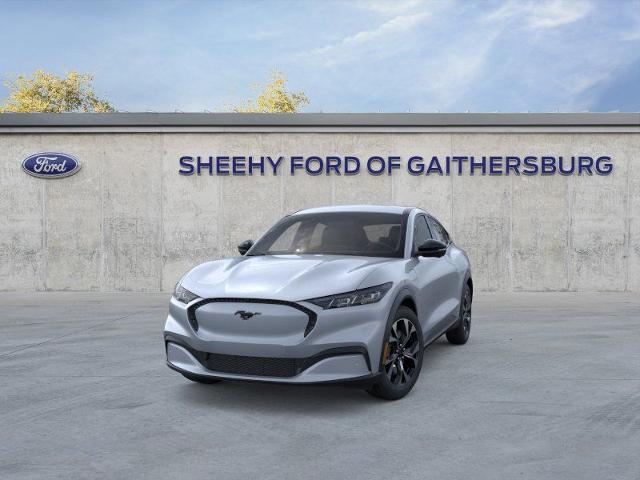 New 2026 Glacier Gray Metallic Tri-coat Ford Select image 24