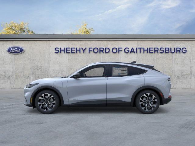 New 2026 Glacier Gray Metallic Tri-coat Ford Select image 25
