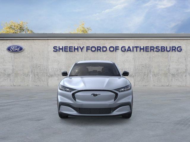New 2026 Glacier Gray Metallic Tri-coat Ford Select image 28