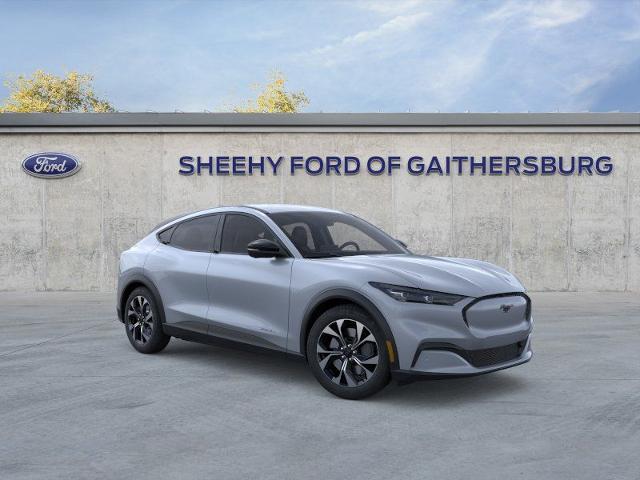 New 2026 Glacier Gray Metallic Tri-coat Ford Select image 29