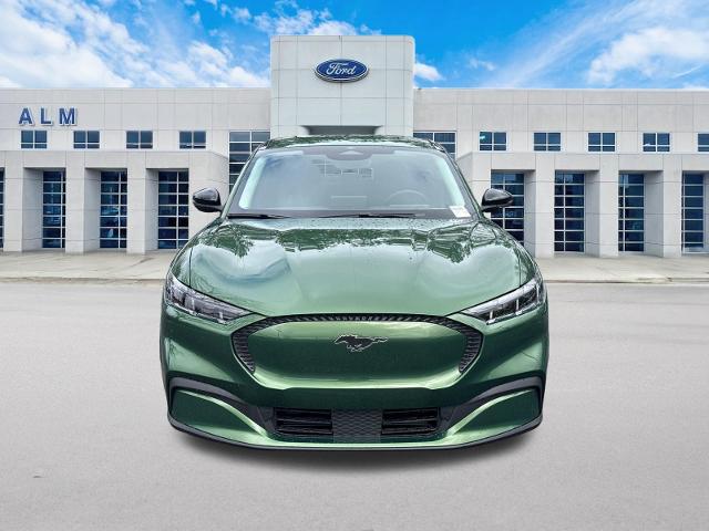 New 2026 Eruption Green Metallic Ford Select image 33