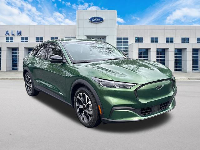 New 2026 Eruption Green Metallic Ford Select image 35