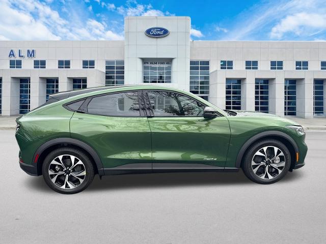 New 2026 Eruption Green Metallic Ford Select image 36