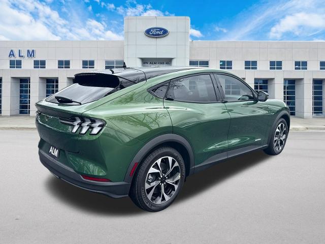 New 2026 Eruption Green Metallic Ford Select image 37