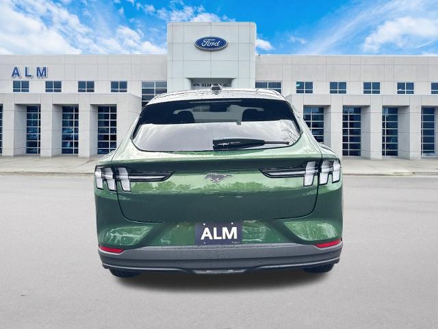 New 2026 Eruption Green Metallic Ford Select image 38