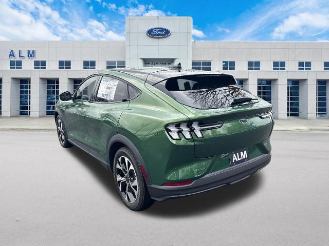 New 2026 Eruption Green Metallic Ford Select image 39