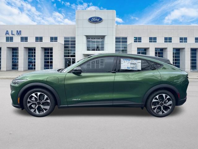 New 2026 Eruption Green Metallic Ford Select image 40