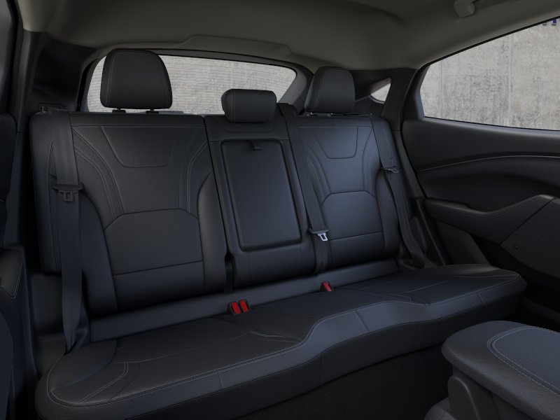 New 2026 Desert Sand Ford Premium image 11