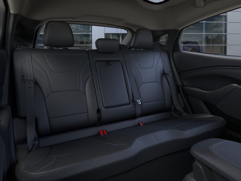 New 2026 Shadow Black Ford Premium image 11