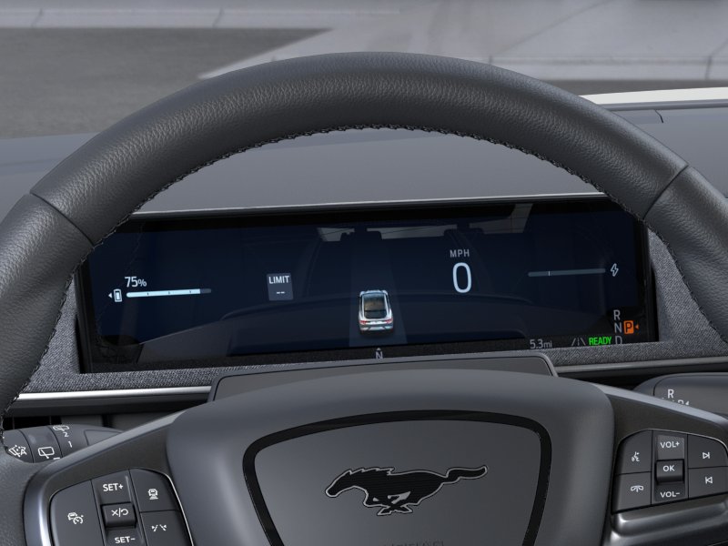 New 2026 Shadow Black Ford Premium image 13