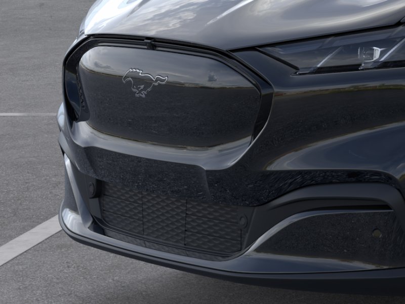 New 2026 Shadow Black Ford Premium image 17