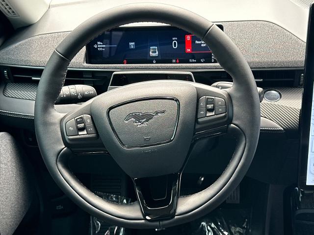 New 2026 Shadow Black Ford Premium image 25