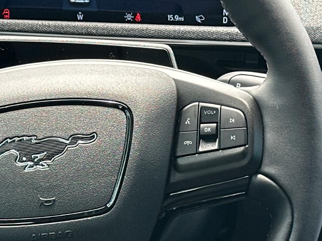 New 2026 Shadow Black Ford Premium image 27