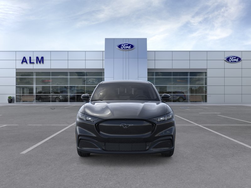New 2026 Shadow Black Ford Premium image 6