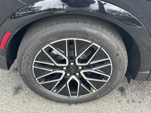 New 2026 Shadow Black Ford Premium image 50