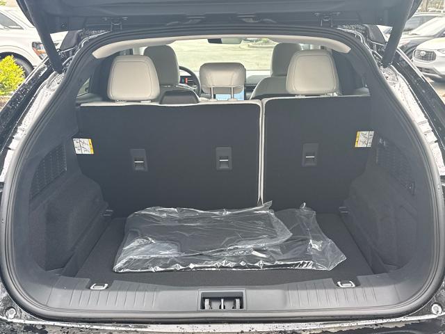 New 2026 Shadow Black Ford Premium image 51