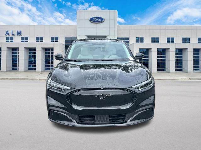 New 2026 Shadow Black Ford Premium image 33