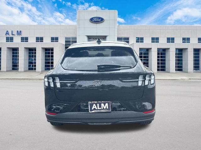 New 2026 Shadow Black Ford Premium image 38