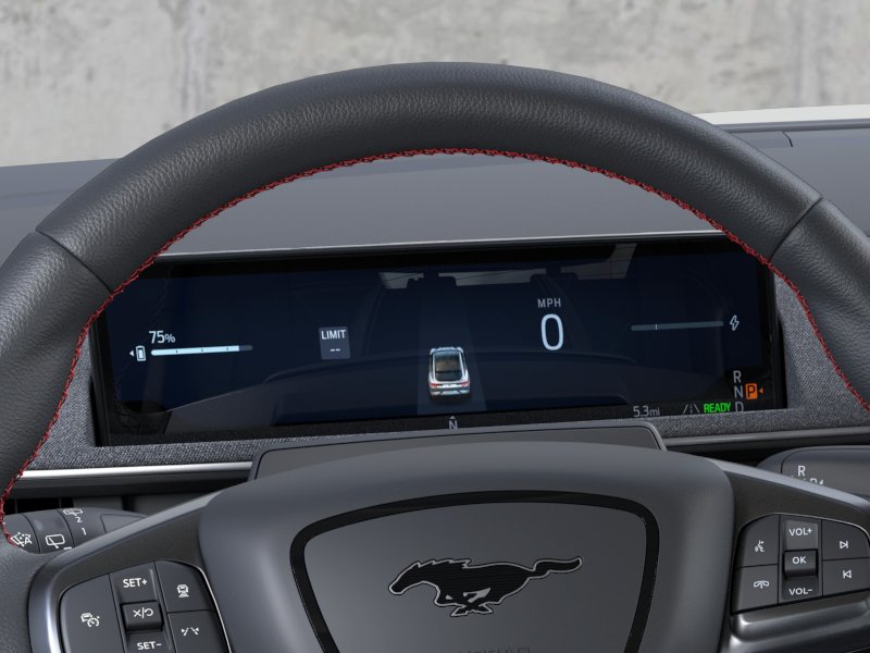 2026 Ford Mustang Mach-E Premium RWD thumbnail 13