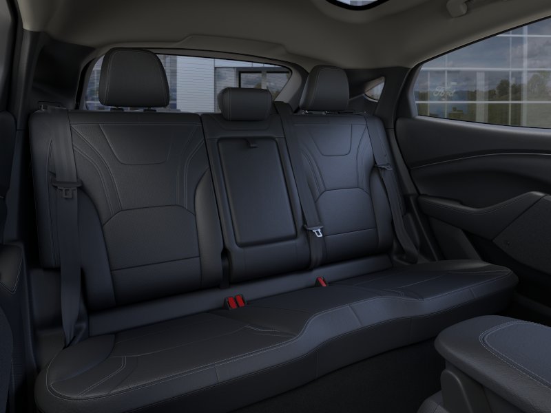 New 2026 Shadow Black Ford Premium image 33