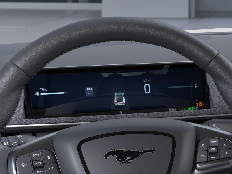 New 2026 Shadow Black Ford Premium image 35