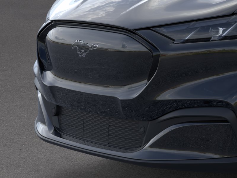 New 2026 Shadow Black Ford Premium image 39