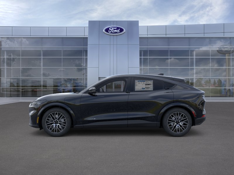New 2026 Shadow Black Ford Premium image 25